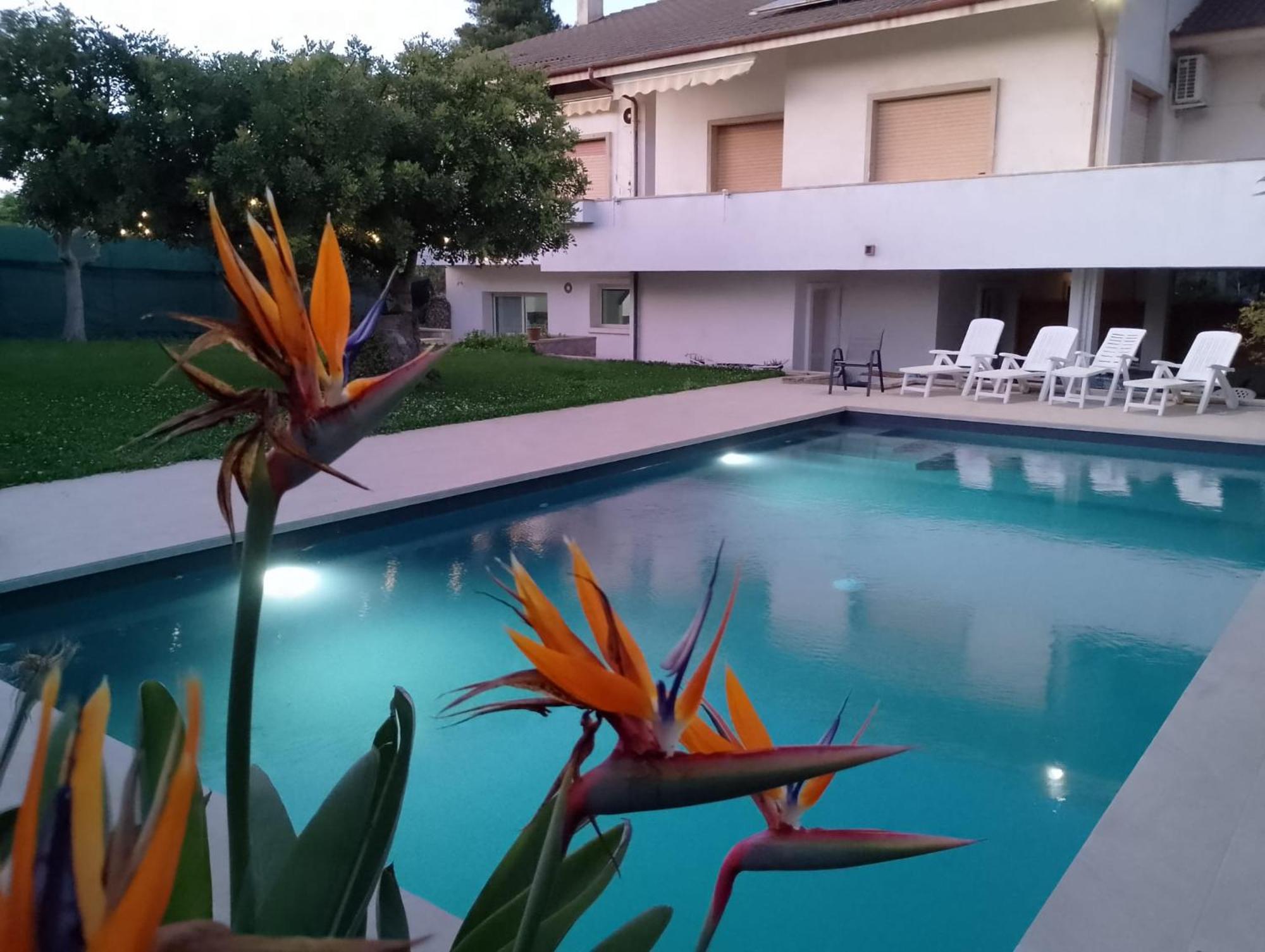 Zacchitella Garden House Villa โรโซลีนี ภายนอก รูปภาพ